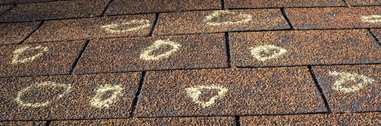 Hole in Your Roof