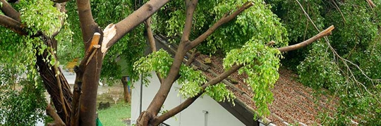 Emergency Roof Repair