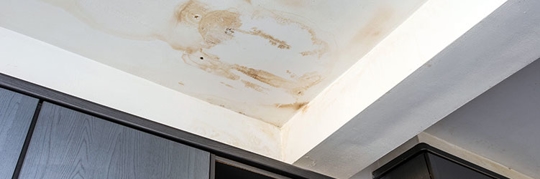 Roof Leaks