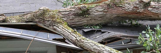 6ii3xnrzkwl.2406040629550