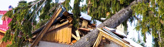 7h6bquclbs1.2406040629550