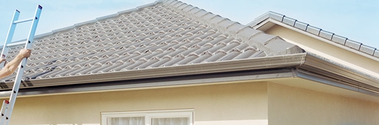 84awq9qn1gc.2406040627550