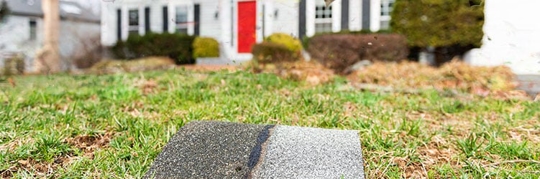 hcfluhit_f4.2406040627550