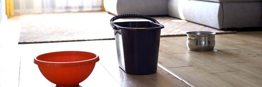 js7uy120r8t.2406040629550