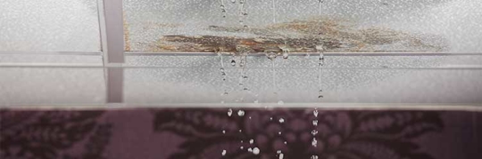 ygo3se5i1b7.2406040628202